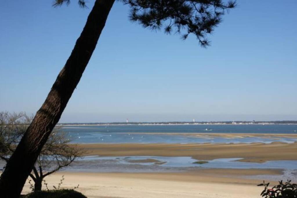 Appart Sur La Plage Pied Dans L Eau Avec Terrasse Jardin Vue Sur Le Bassin Depuis La Terrasse , Parking Аркашон Экстерьер фото