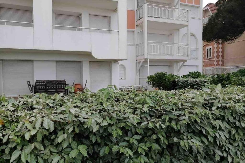Appart Sur La Plage Pied Dans L Eau Avec Terrasse Jardin Vue Sur Le Bassin Depuis La Terrasse , Parking Аркашон Экстерьер фото